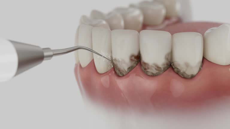 Reliable Dental contractor in South Burlington, VT by Dentist Open Now